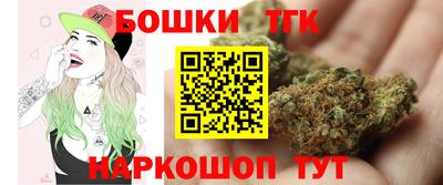 СК Новозыбков
