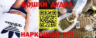 сатива Нарткала