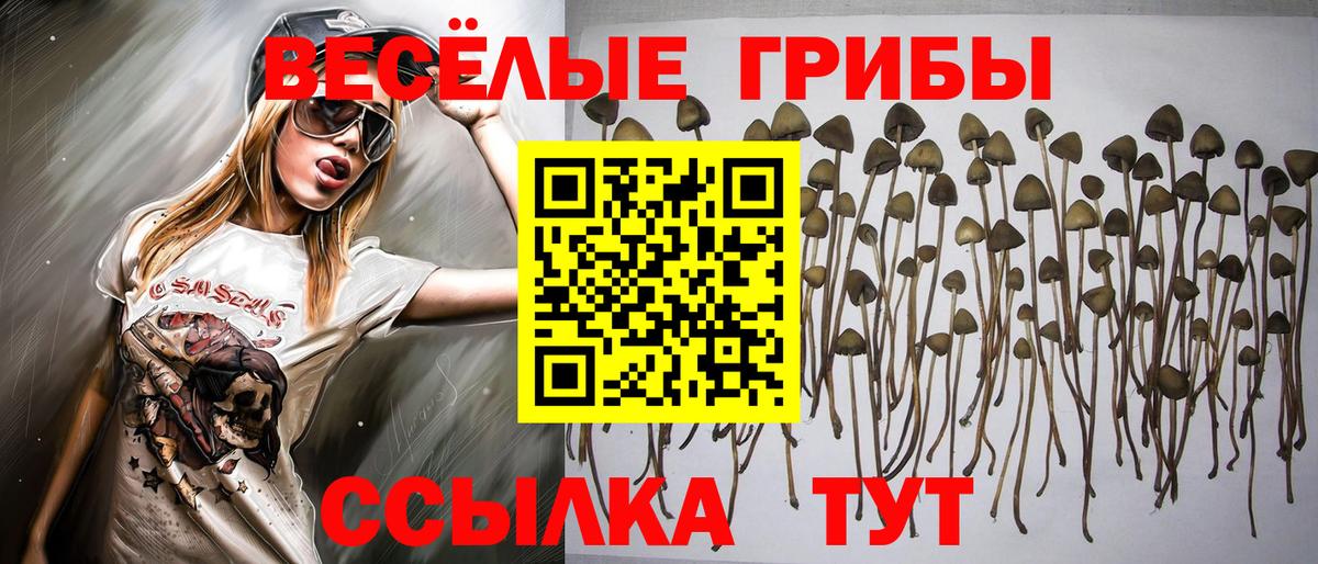 Псилоцибиновые грибы мухоморы Уссурийск
