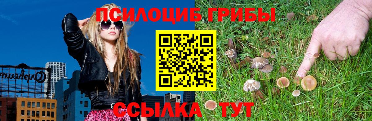 Галлюциногенные грибы прущие грибы  Вход с VPN  Уссурийск 